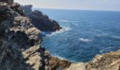 Excursión Senderismo Bangor - 2-Port Coton - l'Apothicairerie à Belle Île en mer  - Photo 4