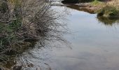 Randonnée Marche Le Cannet-des-Maures - lac des escarcets - Photo 13