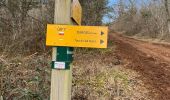 Trail Walking Velars-sur-Ouche - Velars sur ouche  - Photo 19