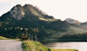 Percorso A piedi Plaffeien - Schwarzsee Bad Seeweid - Unteri (Steinig) Rippa - Photo 4