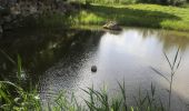 Tour Wandern Sainte-Anne - Belle mare St Anne  - Photo 1