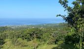 Excursión Ruta Saint-Claude - Beau soleil - Photo 2