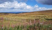 Randonnée Marche Pont de Montvert - Sud Mont Lozère - rando du mont finiel - Photo 1