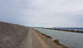 Percorso Cicloturismo Saintes-Maries-de-la-Mer - Stes Maries de la Mer  -  Sète - Photo 12