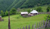 Tour Zu Fuß Oberwischau - RO-Viseu - Poienile de sub munte - Photo 10