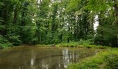 Randonnée Marche Seraing - Dans les bois de Seraing - Photo 2