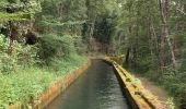 Trail Walking Saint-Girons - St girons la cascade d Aubert  - Photo 1