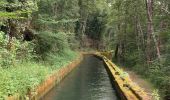 Tour Wandern Saint-Girons - St girons la cascade d Aubert  - Photo 1