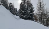 Randonnée Raquettes à neige La Plagne-Tarentaise - Plagne Village Aime 2000 par le chalet de Lovatière - Photo 5