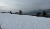 Tour Wandern Stablo - Stavelot 20,6 km - Photo 9