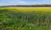 Trail Walking Tinlot - Ramelot  - Photo 2