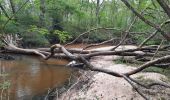 Tour Wandern Saint-Médard-en-Jalles - issac - Photo 12