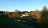 Excursión A pie Nohfelden - Offizierspfad Imsbach - Photo 2