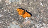 Tocht Stappen Le Cannet-des-Maures - Boucle autour du Lac des Escarcets - Photo 16