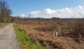 Trail Walking Villers-Cotterêts - Abbaye, fontaine en forêt  - Photo 15