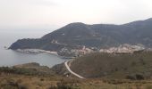 Randonnée Marche Cerbère - les aloès. cerbère . coll dells belitres (espagne) . cap cerbère . cerbère. les aloès   - Photo 9