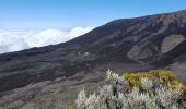 Tocht Stappen Sainte-Rose - Piton de la Fournaise (cratère Dolomieu) - Piton Partage - Photo 2