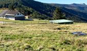 Trail Walking Metzeral - Autour du Lauchenkopf - Photo 1