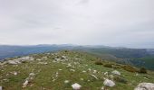 Randonnée Marche Coursegoules - Boucle Vieriuo - Photo 1