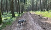 Trail Walking Neufchâteau - Tronquoy - Respelt - Photo 6