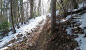 Trail Walking Veyrier-du-Lac - Mont Baret - Photo 13