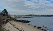 Trail Walking La Trinité-sur-Mer - PR_56_La-Trinite-Sur-Mer_CA_03_Circuit4b_Sentier-Douanier-Et-Marais-Salants_20221217 - Photo 20