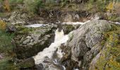 Tour Wandern Bort-les-Orgues - Chute de la Saule - Photo 17