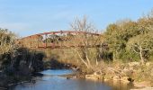 Randonnée Marche Vidauban - Vidauban - Cascades de l'Aille - Photo 2