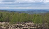 Tocht Stappen Nassogne - rando mochamps 27-04-2024 - Photo 4