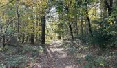 Trail  Brossainc - Brossainc lac du Ternay  - Photo 5
