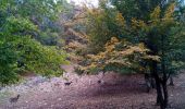 Excursión Senderismo Besançon - Forêt de Chailluz - Photo 3