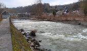 Tocht Stappen Luik - randonnée BS entre l île rousseau et tilff  - Photo 5