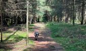 Trail Walking Chiny - Chiny le long de la Semois - Photo 12