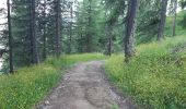 Trail Walking Embrun - lac de l hivernet via l aiguille, retour par pierre pointue - Photo 4