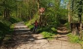 Excursión Bici de montaña Mutzig - parcours test VTTAE Mutzig  - Photo 1