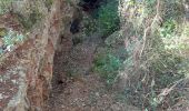 Trail Walking Aniane - grotte des reliques, montcalmes - Photo 12