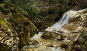 Trail On foot Fabbrica Curone - Lunassi – Colle della Seppa - Photo 4