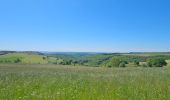 Tour Wandern Goesdorf - Goebelsmühle - Bourscheid - Dirbach - Photo 9