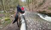 Trail Horseback riding Theux - Ninglinspo 2024 - Photo 5