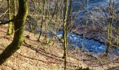 Trail Walking Bouillon - Rochehaut 110124 - Photo 17