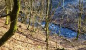 Randonnée Marche Bouillon - Rochehaut 110124 - Photo 17