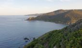 Trail Walking Ajaccio - Les iles Sanguinaires. Corse - Photo 15
