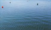 Tocht Stappen Froidchapelle - La balade du grand cerf aux lacs de l’eau d’heure  - Photo 3