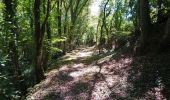 Trail Walking Veuzain-sur-Loire - Onzain - GR3 Chouzy-sur-Cisse GR353B - 24.7km 250m 5h45 (30mn) - 2022 09 18 - Photo 9