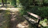 Trail Walking Havelange - De Havelange à Saint Fontaine par le village de Ossogne - Photo 6