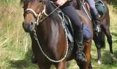 Trail Horseback riding Saint-Jacques-d'Ambur - ST JACQUES / CHAPDES BEAUF. / ST JACQUES - Photo 1