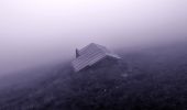 Tocht Te voet Sankt Gilgen - Schafbergsteig - Photo 10