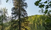 Tour Zu Fuß Bensheim - Rundwanderweg Bensheim Herrenwingert 8: Fürstenlager-Weg - Photo 6