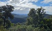 Tour Wandern La Londe-les-Maures - Valcros - Photo 5