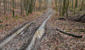 Randonnée Marche Saint-Phal - Forêt chenu 10km réel - Photo 1